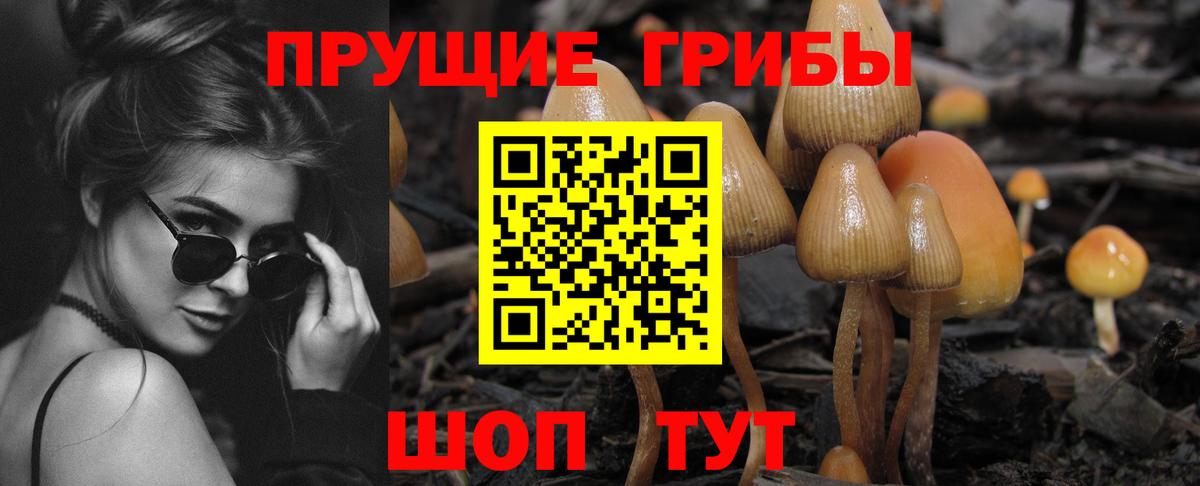Псилоцибиновые грибы ЛСД Нерюнгри