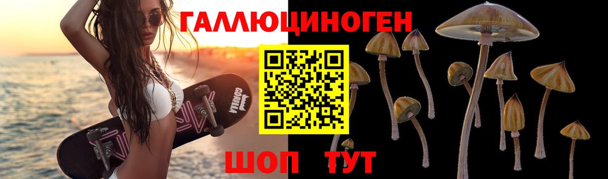 Псилоцибиновые грибы ЛСД  Псилоцибиновые грибы Magic Shrooms  Вход с VPN  Нерюнгри 